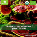 EU certified Organic Ganoderma Lucidum Extract Powder Reishi Mushroom Powder Extract Powder